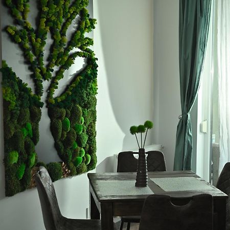 Mirvana Apartments Metheor Executive Suite Timişoara Exteriör bild