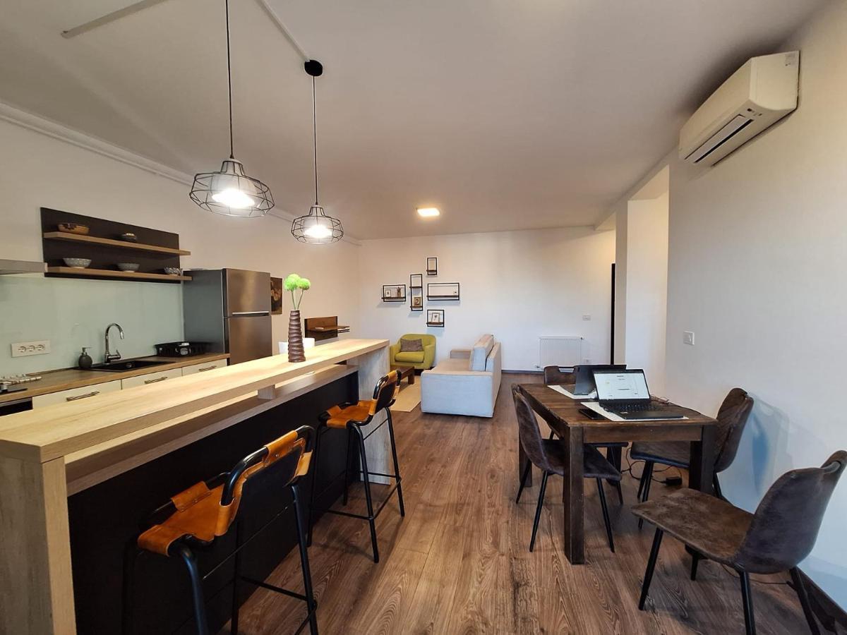 Mirvana Apartments Metheor Executive Suite Timişoara Exteriör bild