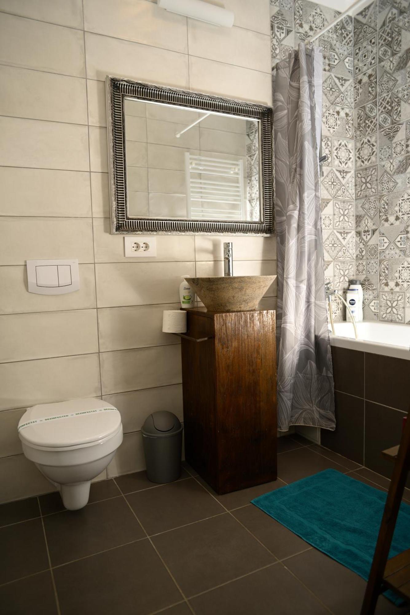 Mirvana Apartments Metheor Executive Suite Timişoara Exteriör bild